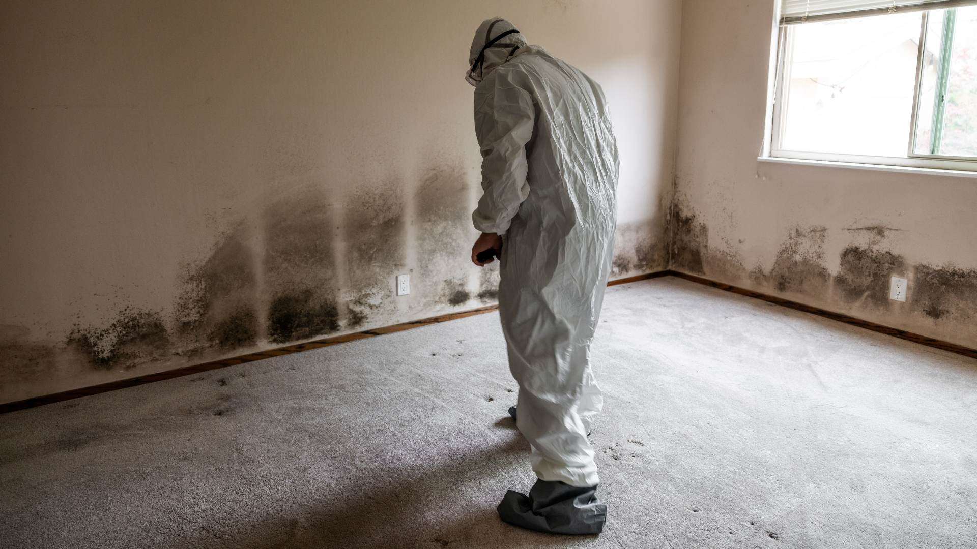 Wall mold affecting indoor air