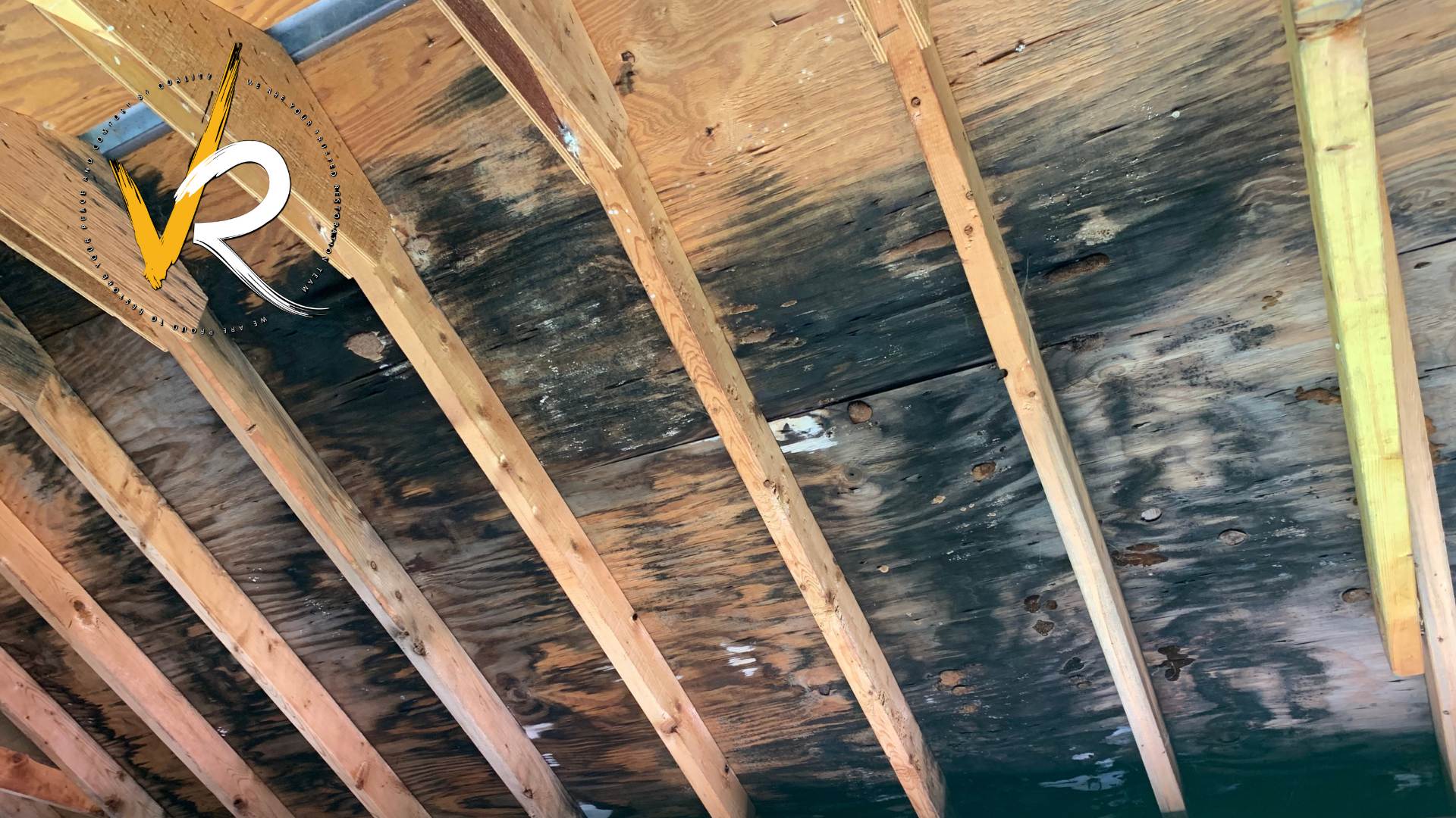 Attic mold and air quality concern