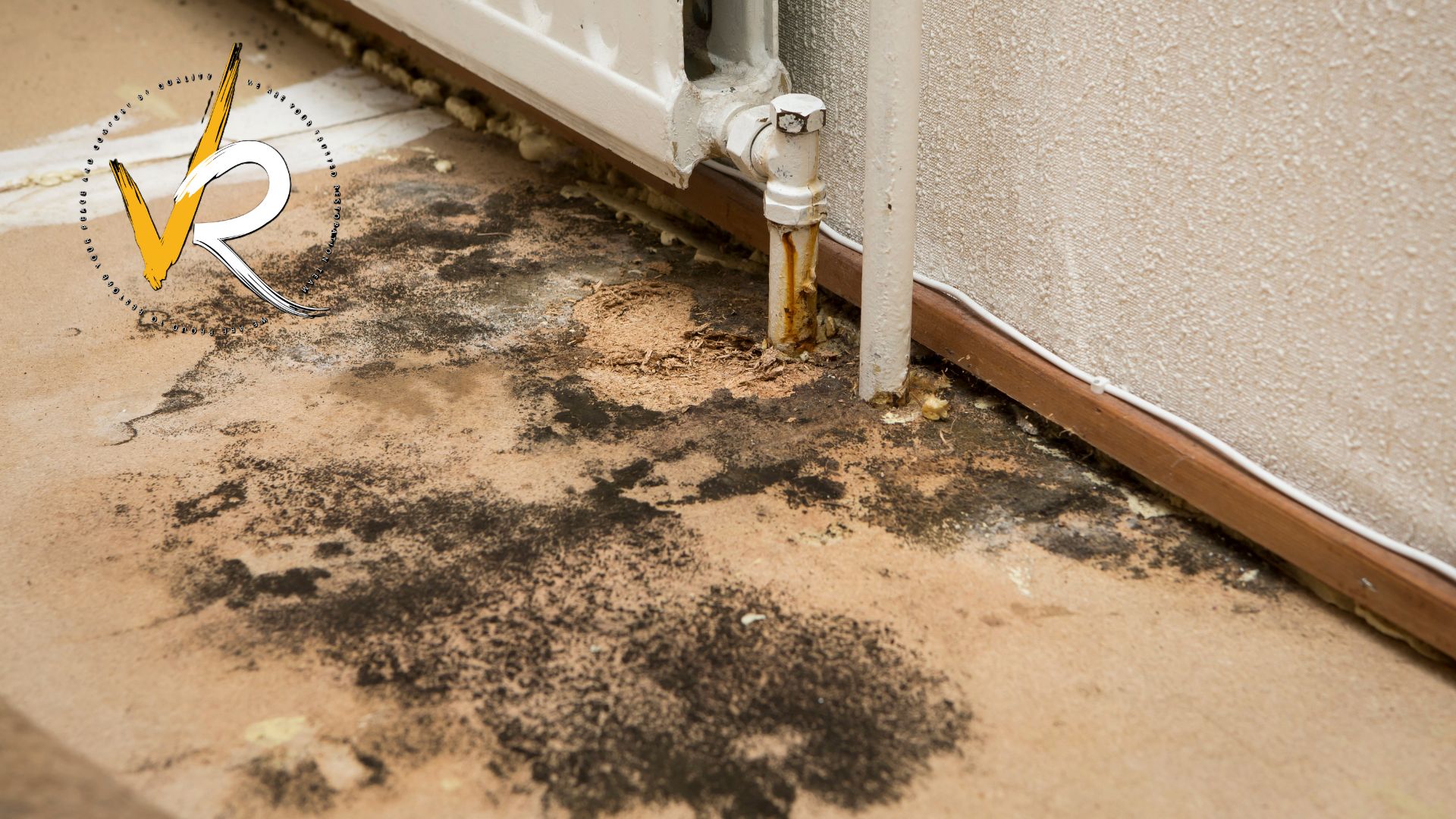 Crawl space and ground floor mold concern