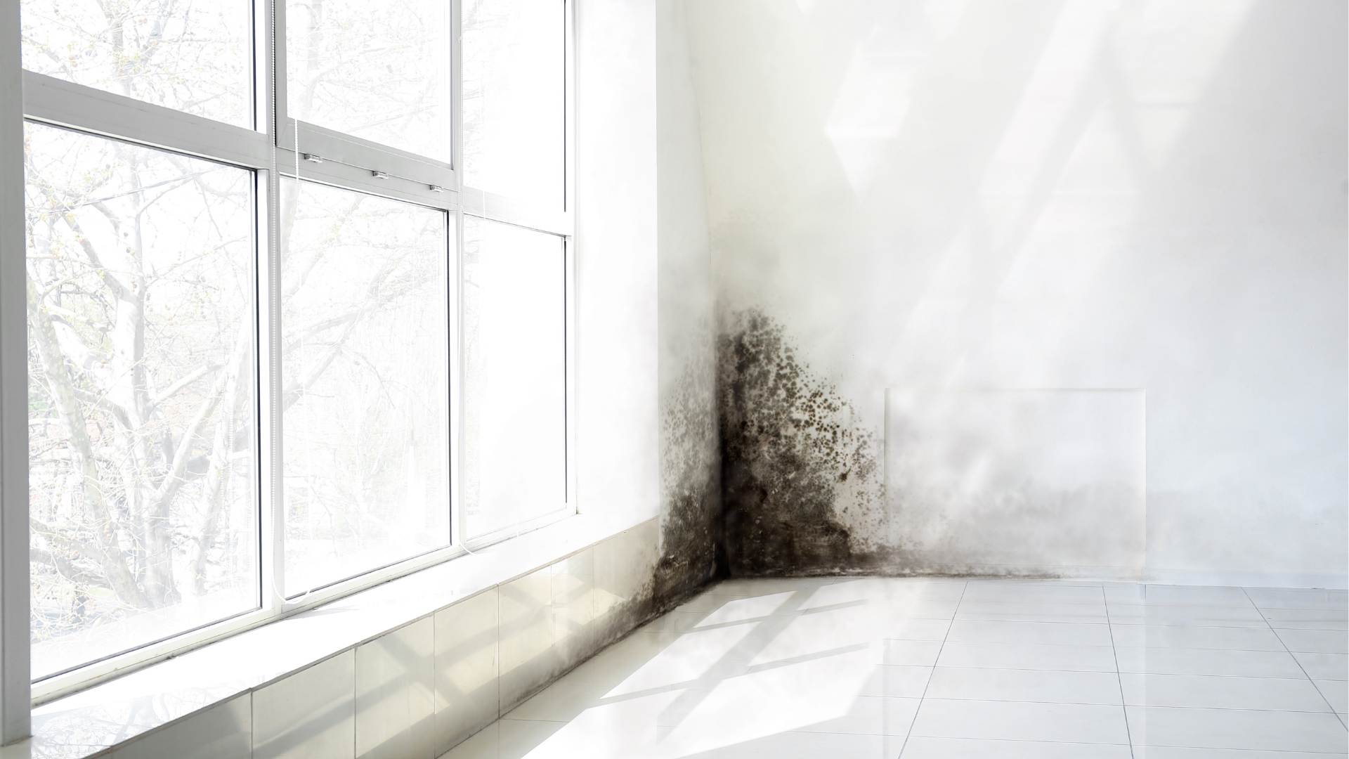 Vancouver home exterior moisture conditions