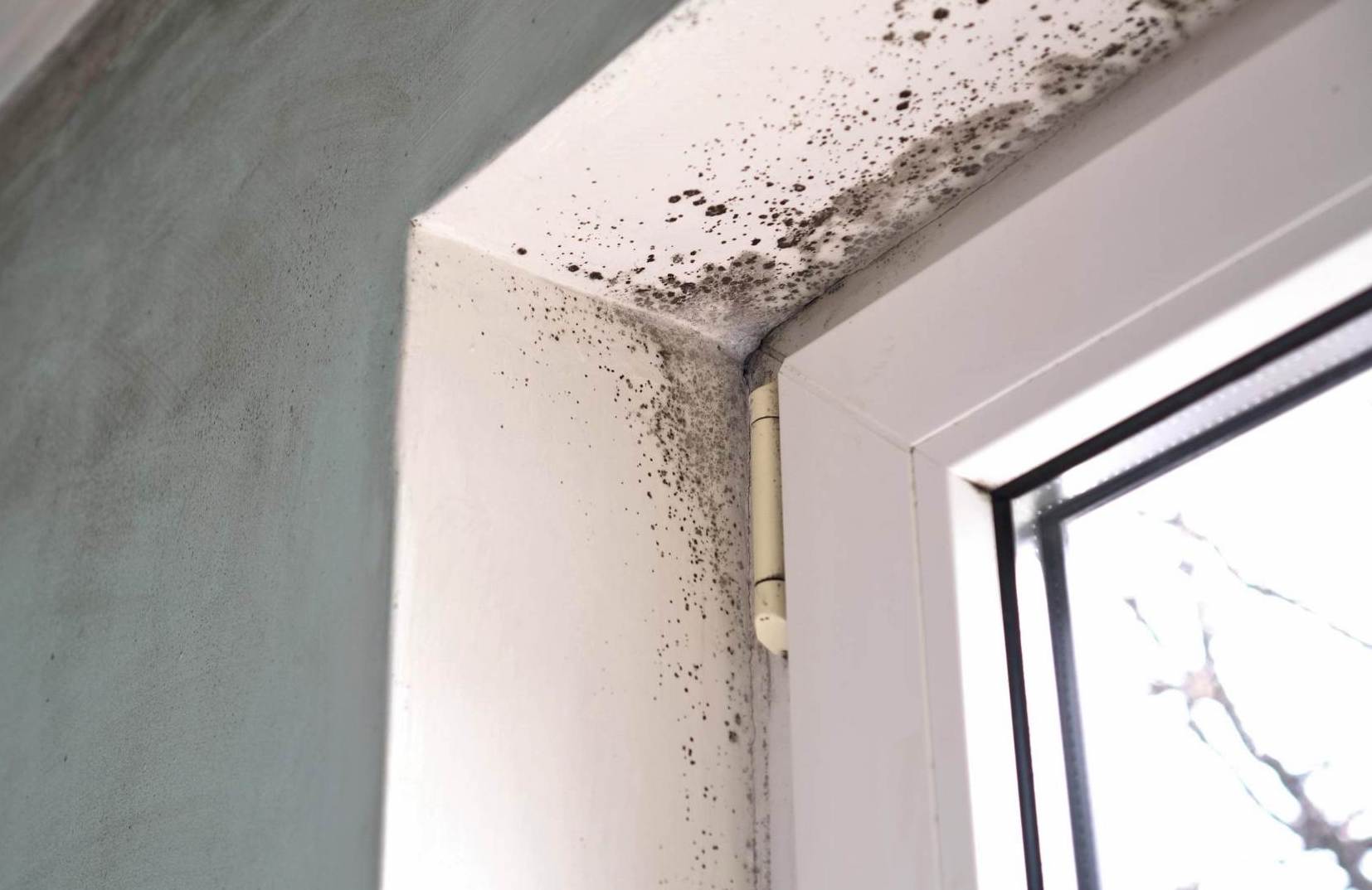 Condo mold concern near a door in Vancouver