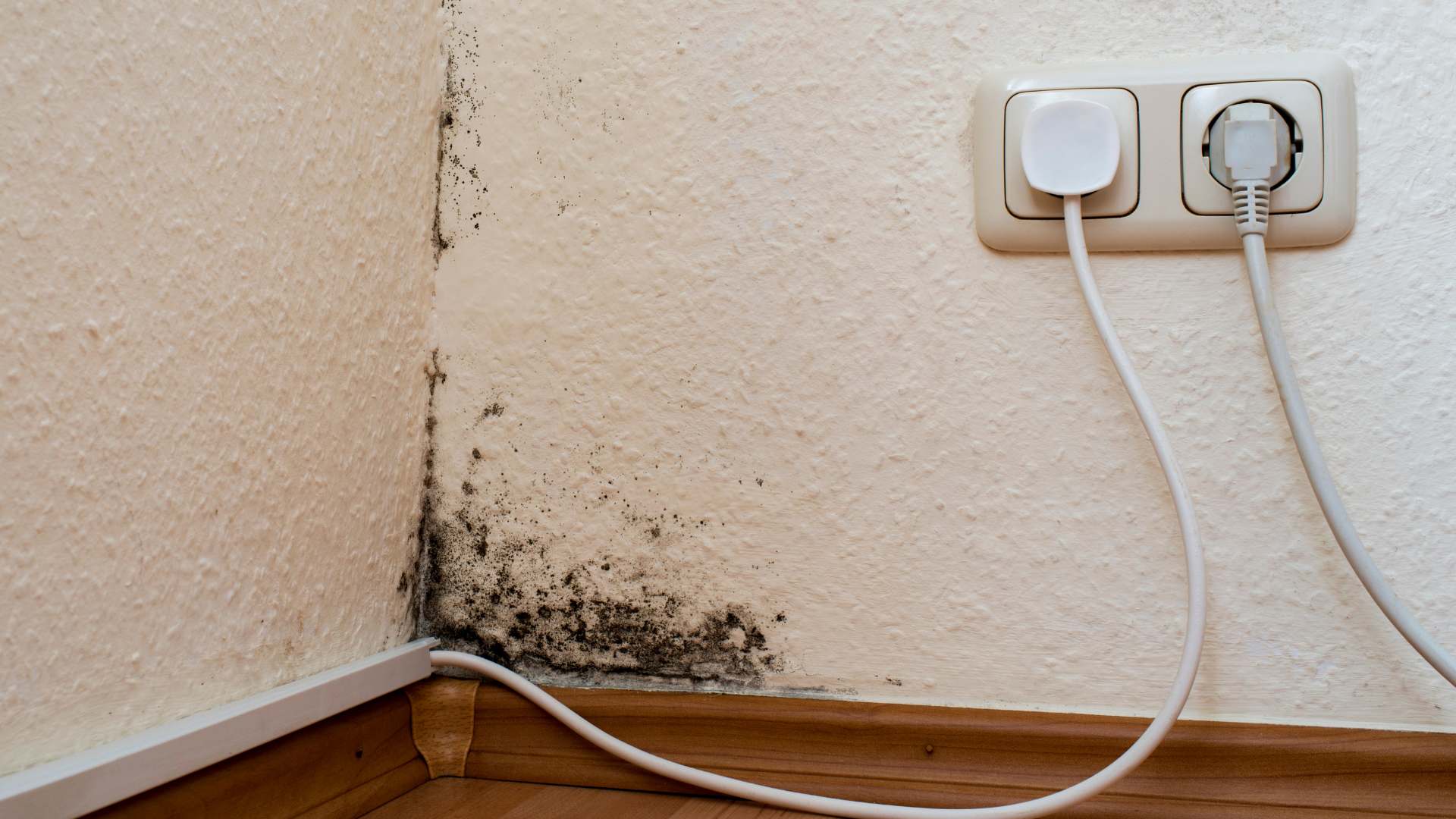 Hidden mold affecting air quality