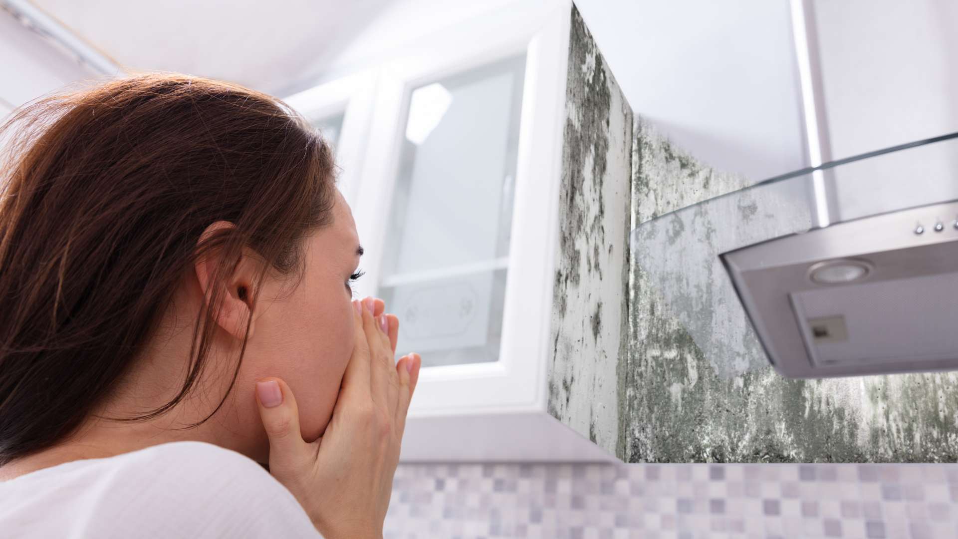 Condo kitchen mold concern