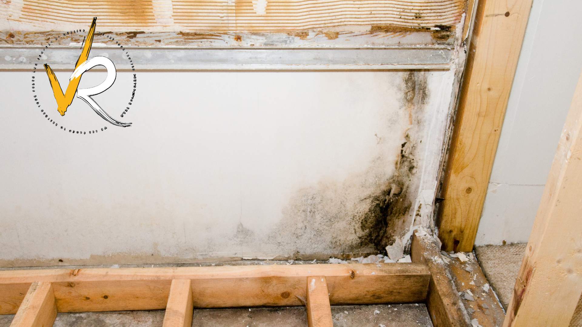 Mold on a wall from moisture damage